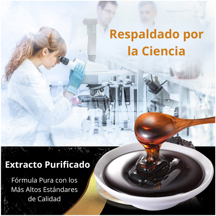SHILAJIT Elixir de las Montañas